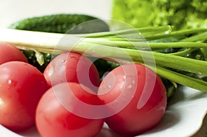 Fresh organic tomatoes and cucumbers with green onions on a white plate