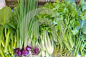 Fresh Organic Vegetables