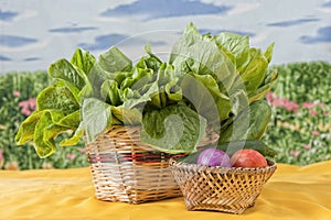 Fresh organic vegetables