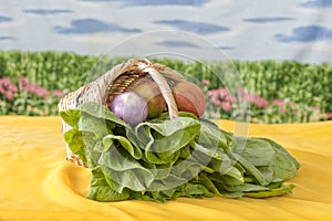 Fresh organic vegetables