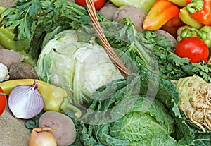 Fresh organic vegetables