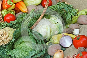 Fresh organic vegetables