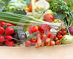 Fresh organic vegetables