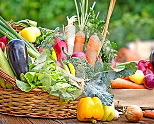 Fresh organic vegetables