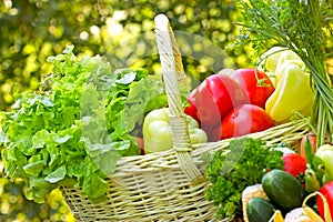 Fresh organic vegetables