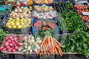 Fresh organic vegetables.