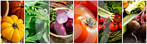 Fresh organic vegetables assortment collage background summer