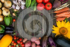 Fresh Organic Vegetables. Autumn Harvest Concept.