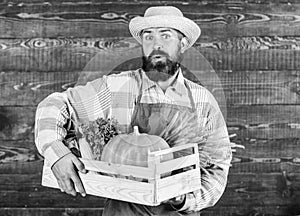 Fresh organic vegetables box. Farmer hipster straw hat deliver fresh vegetables. Man cheerful bearded farmer wear apron