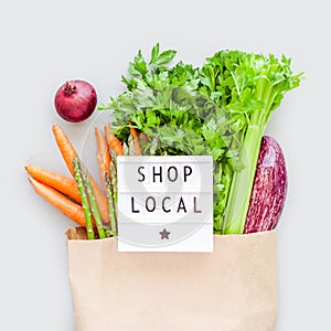 Fresh organic vegetables in craft shopping bag