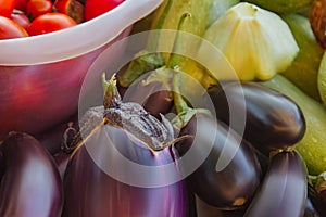 Fresh organic vegetables and fruits in a basket on a table in the garden. Healthy eating Eggplant, squash, cucumbers, tomatoes,