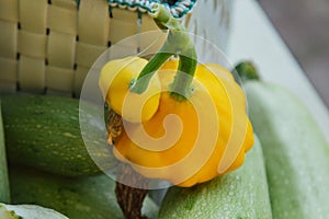 Fresh organic vegetables and fruits in a basket on a table in the garden. Healthy eating Eggplant, squash, cucumbers, tomatoes,