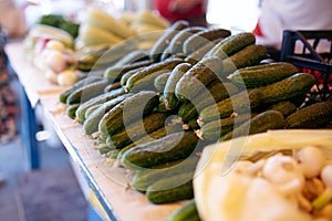 Fresh organic vegetables and fruits on sale at the local farmers summer market outdoors. Healthy organic food concept