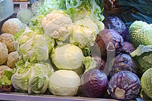 Fresh organic vegetables on market shell