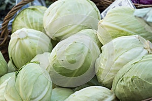 Fresh organic vegetables - Pile of cabbages in a basket at a far