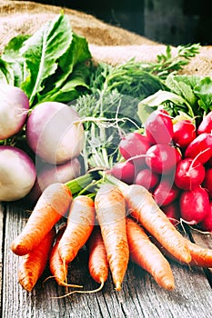 Fresh organic vegetables