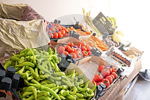 Fresh organic vegetables on shelf in farmers market