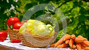 Fresh organic vegetables on table