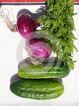 Fresh organic vegetables on white rustic cloth in the sunlight