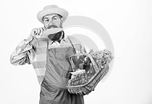 Fresh organic vegetables wicker basket. Hipster gardener wear apron carry vegetables. Man bearded presenting vegetables