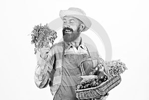 Fresh organic vegetables wicker basket. Hipster gardener wear apron carry vegetables. Man bearded presenting vegetables