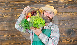 Fresh organic vegetables in wicker basket. Man bearded farmer presenting eco vegetables wooden background. Farmer straw