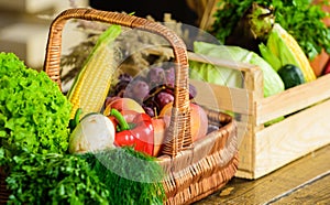 Fresh organic vegetables in wicker basket and wooden box. Fall harvest concept. Vegetables from garden or farm close up