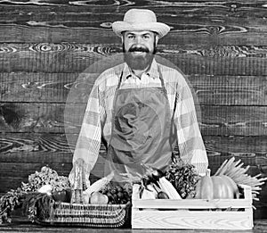 Fresh organic vegetables in wicker basket and wooden box. Man cheerful bearded farmer near vegetables wooden background