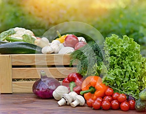 Fresh organic vegetables in a wooden box and on a wooden table on the background of a vegetable garden.Concept of biological, bio