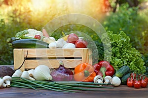 Fresh organic vegetables in a wooden box and on a wooden table on the background of a vegetable garden.Concept of biological, bio