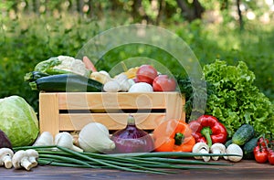 Fresh organic vegetables in a wooden box and on a wooden table on the background of a vegetable garden.Concept of biological, bio