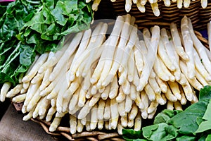 Fresh organic white asparagus in display for sale at a street food market