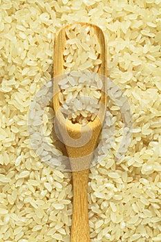 Fresh organic white raw rice grains texture and wooden spoon, uncooked rice background