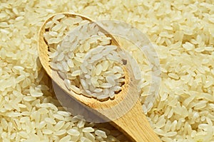 Fresh organic white raw rice grains texture and wooden spoon, uncooked rice background