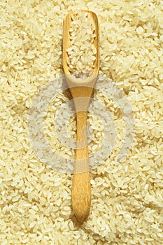 Fresh organic white raw rice grains texture and wooden spoon, uncooked rice background