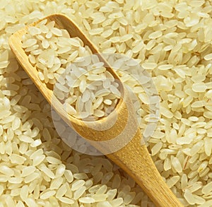 Fresh organic white raw rice grains texture and wooden spoon, uncooked rice background