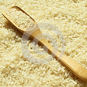 Fresh organic white raw rice grains texture and wooden spoon, uncooked rice background