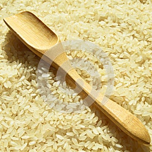 Fresh organic white raw rice grains texture and wooden spoon, uncooked rice background