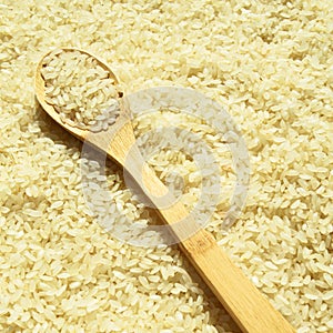 Fresh organic white raw rice grains texture and wooden spoon, uncooked rice background