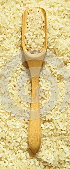 Fresh organic white raw rice grains texture and wooden spoon, uncooked rice background