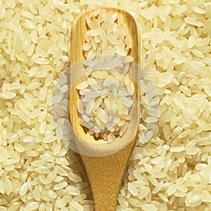 Fresh organic white raw rice grains texture and wooden spoon, uncooked rice background