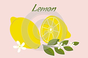 Fresh organic yellow lemon with a slice, and a blooming lemon twig with green leaves and flowers