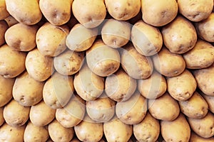 Fresh organic young potatoes