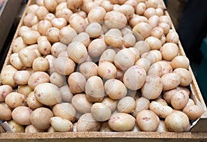 Fresh organic young potatoes for sale at city market.