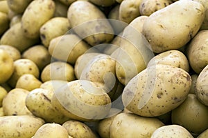 Fresh organic young potatoes sold on market