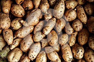 Fresh organic young potatoes sold on open market in Indonesia