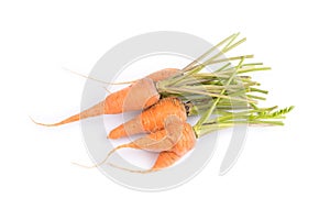 Fresh organics carrots