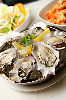 Fresh Oyster as Appetizer photo