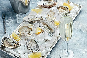 Fresh oyster in dish with lemon and champagne in restaurant. banner, menu, recipe place for text, top view