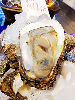 Fresh oyster displayed at the market place